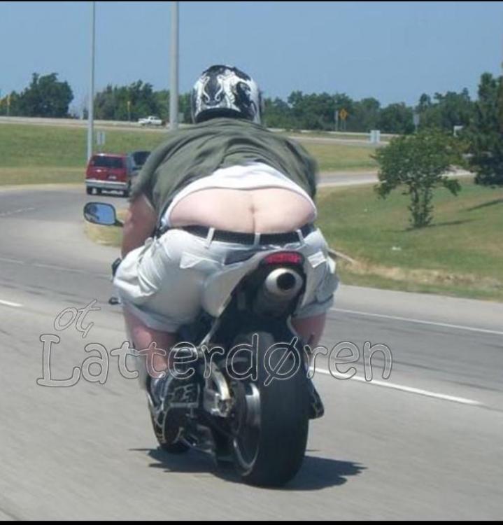 Noldus 2019-06-11 16-38-25-820.jpg