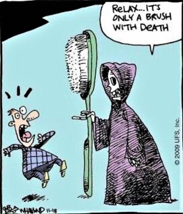 135701215_Brushwithdeath.thumb.jpg.3efeb27b6604b208c3323b0cf9c9e3fb.jpg