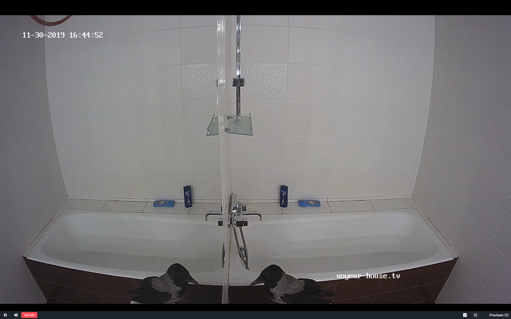 Screenshot (1885).png