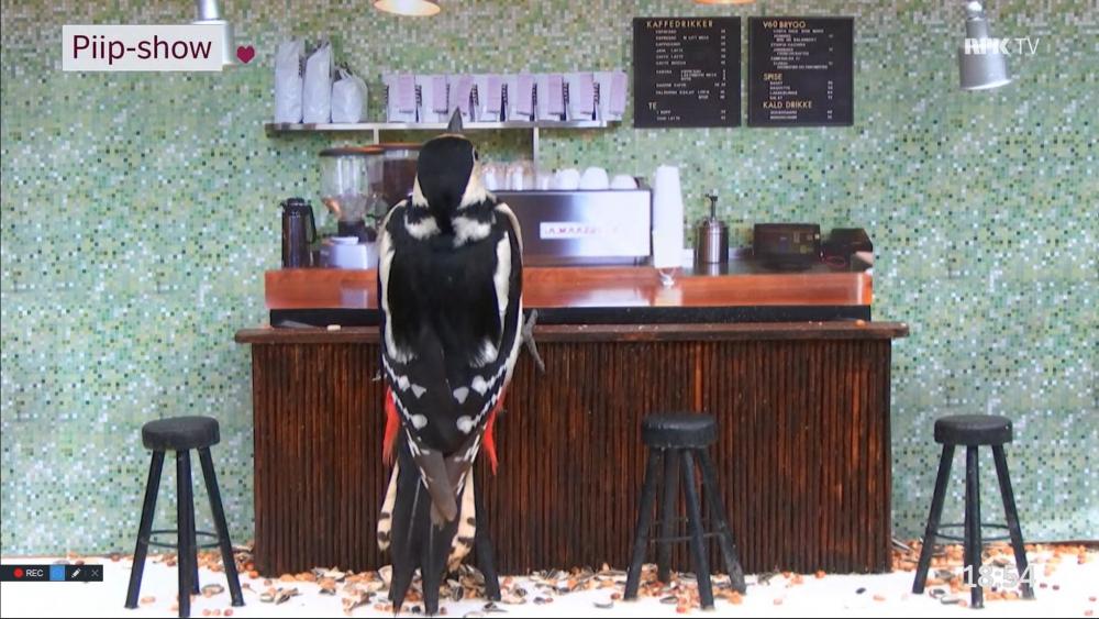 Noldus 2020-05-03 18-57-30-347.jpg