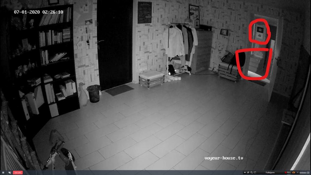 bandicam 2020-07-01 02-18-46-177_LI.jpg