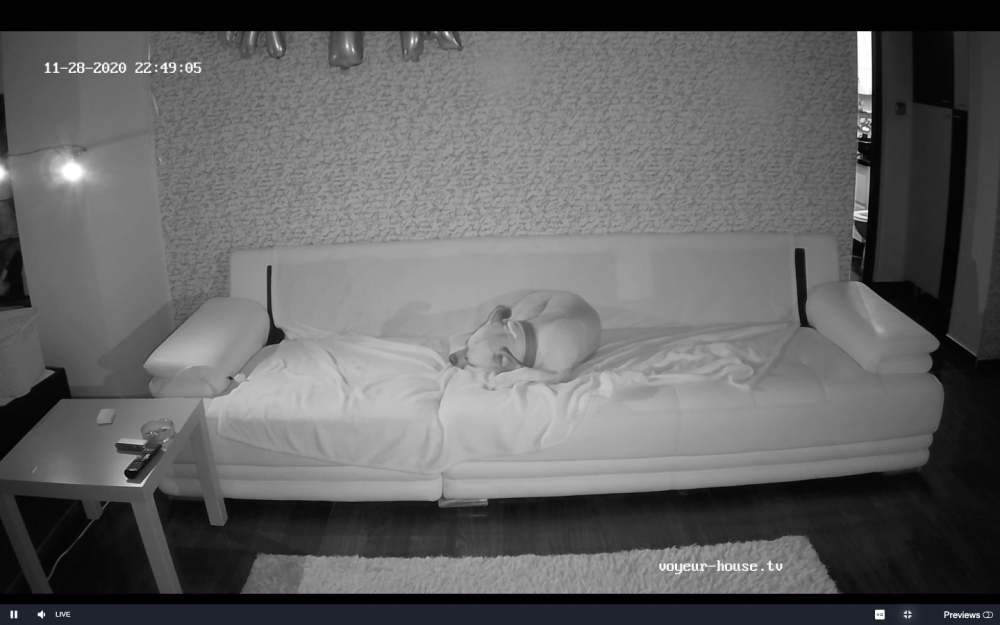 Screenshot 2020-11-28 at 20.49.30.png