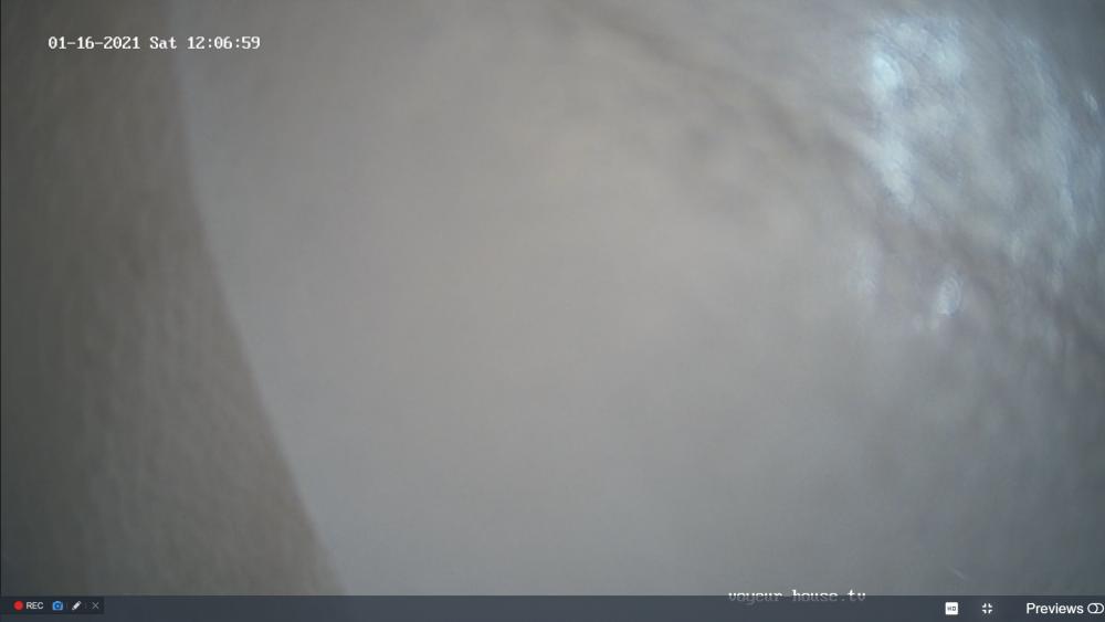 Noldus 2021-01-16 10-07-28-405.jpg