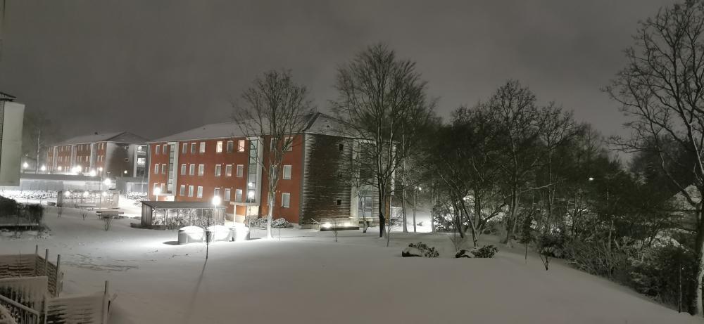 IMG_20210113_223019 (2).jpg