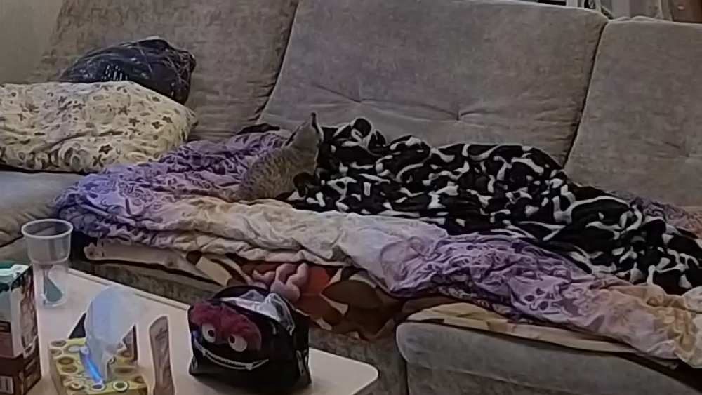 Screenshot (3257).png