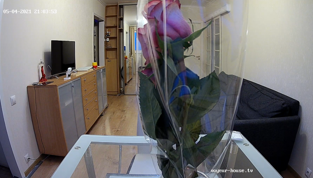 move the F... flowers.png