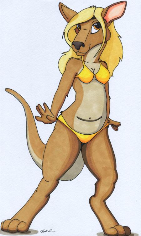 bdever-kangaroo-yellow-bikini.jpg