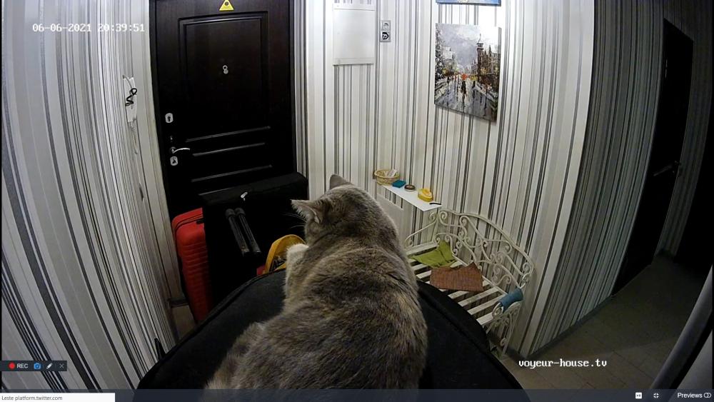 Noldus 2021-06-06 19-40-25-470.jpg