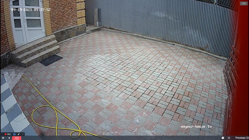 Noldus 2021-09-19 20-21-53-189.jpg