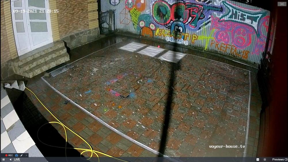 Noldus 2021-09-19 20-20-48-940.jpg