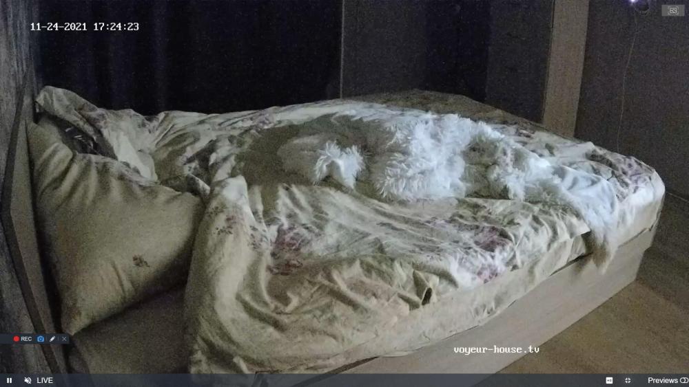 Noldus 2021-11-24 15-25-11-436.jpg