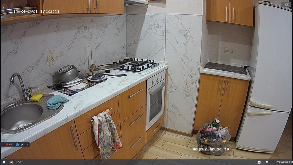 Noldus 2021-11-24 15-23-59-855.jpg