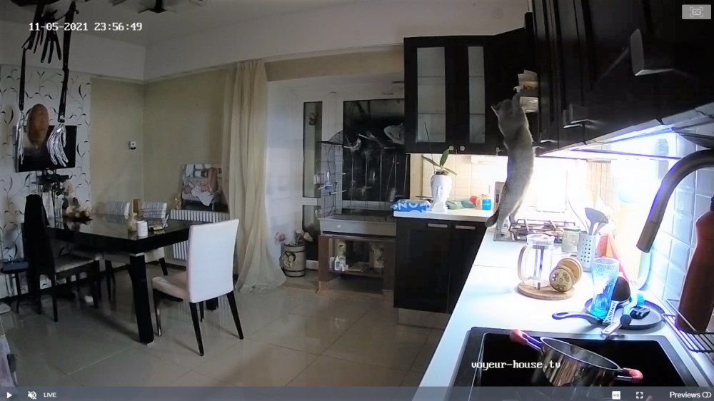 ice_screenshot_20211105-215734 (2).png