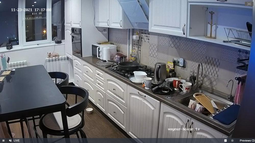 Noldus 2021-11-23 15-17-35-291.jpg