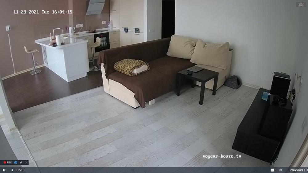 Noldus 2021-11-23 14-04-48-569.jpg