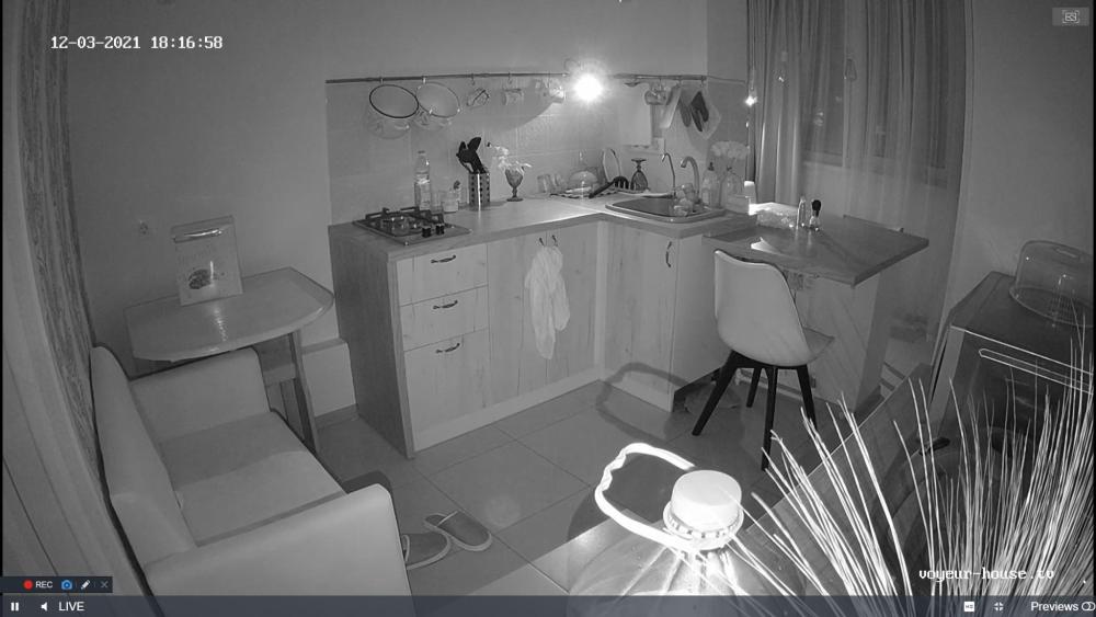 Noldus 2021-12-03 16-17-25-509.jpg