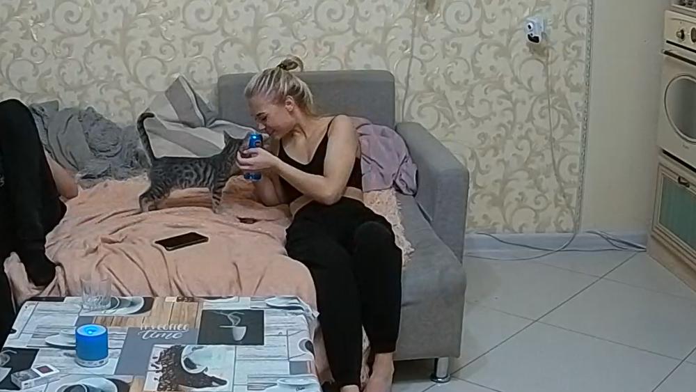 Noldus 2022-08-18 23-41-04-199.jpg