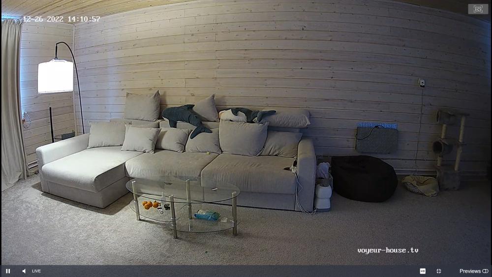 Noldus 2022-12-26 12-11-30-702.jpg