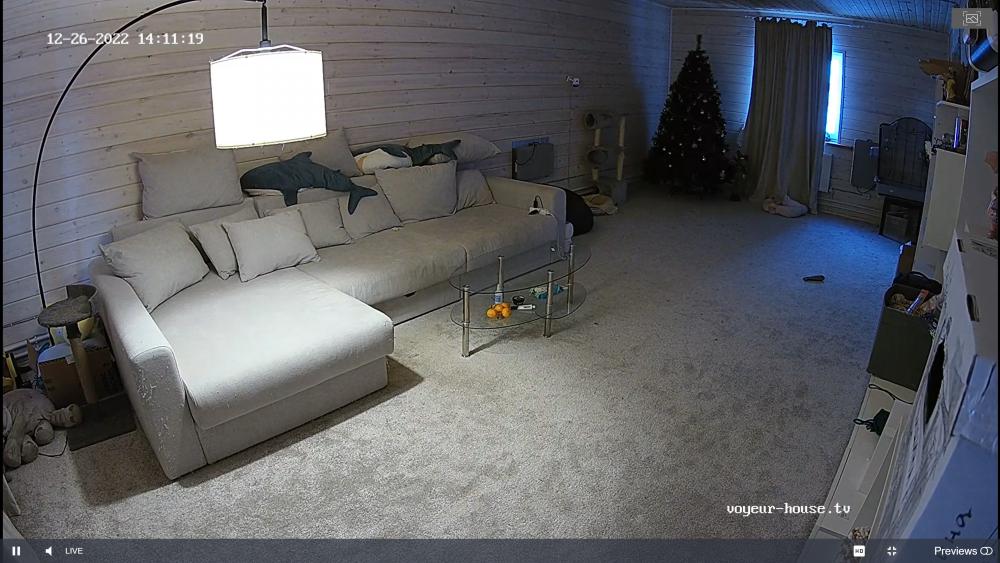 Noldus 2022-12-26 12-11-52-613.jpg