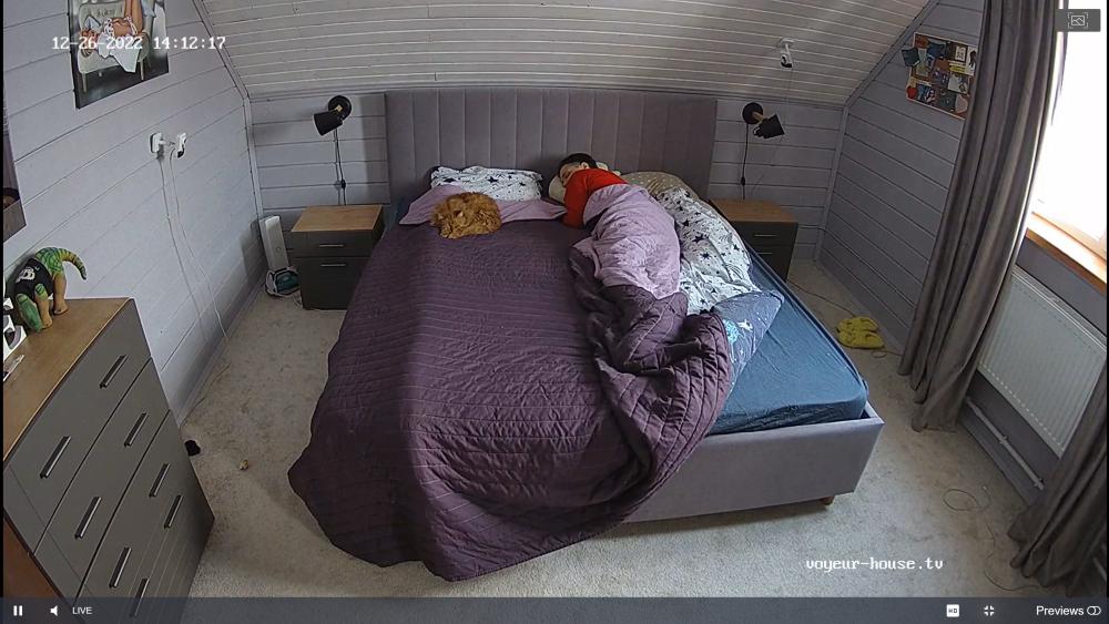 Noldus 2022-12-26 12-12-49-740.jpg