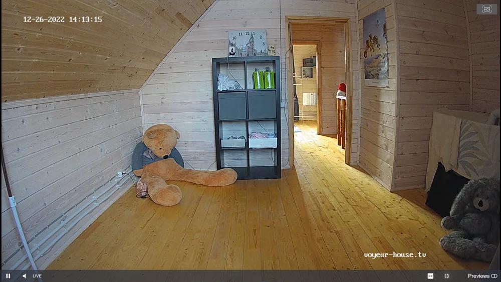 Noldus 2022-12-26 12-13-49-263.jpg