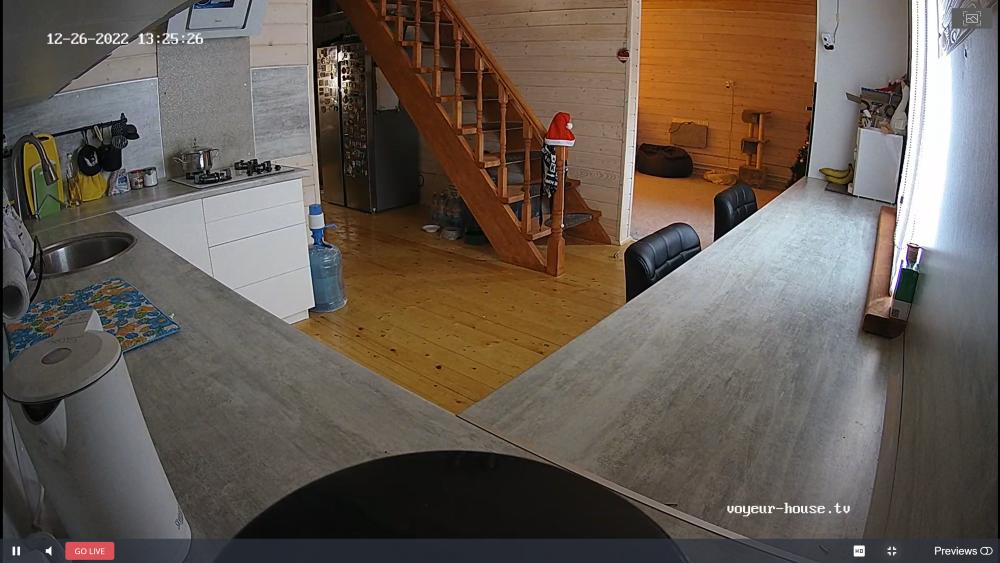 Noldus 2022-12-26 12-10-58-446.jpg