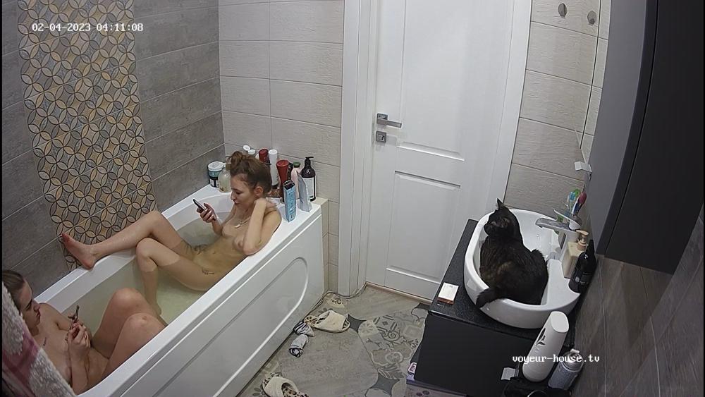 Noldus 2023-02-04 02-11-41-859.jpg