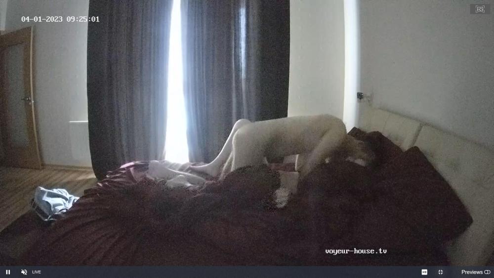 Noldus 2023-04-01 05-27-11-866.jpg