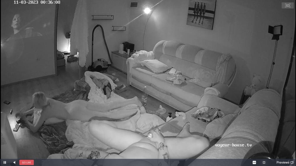 Noldus 2023-11-03 06-00-02-542.jpg