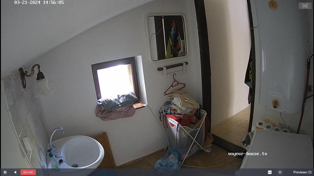 Noldus 2024-03-22 06-04-58-558.jpg