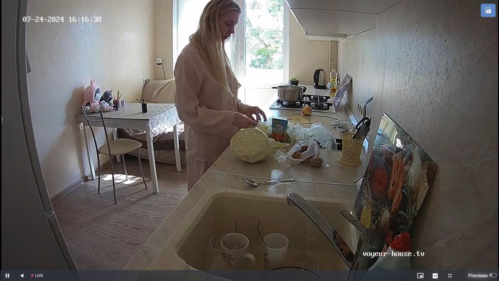 Noldus 2024-07-24 15-17-08-849.jpg