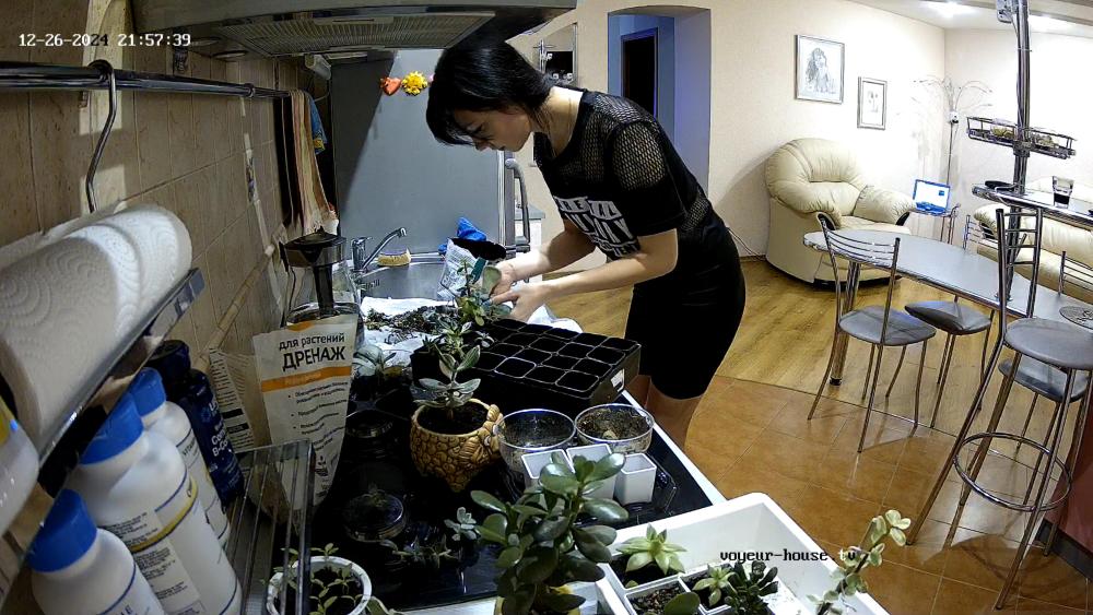 Noldus 2024-12-26 19-58-14-672.jpg