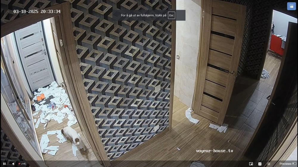 Noldus 2025-03-18 18-34-10-425.jpg