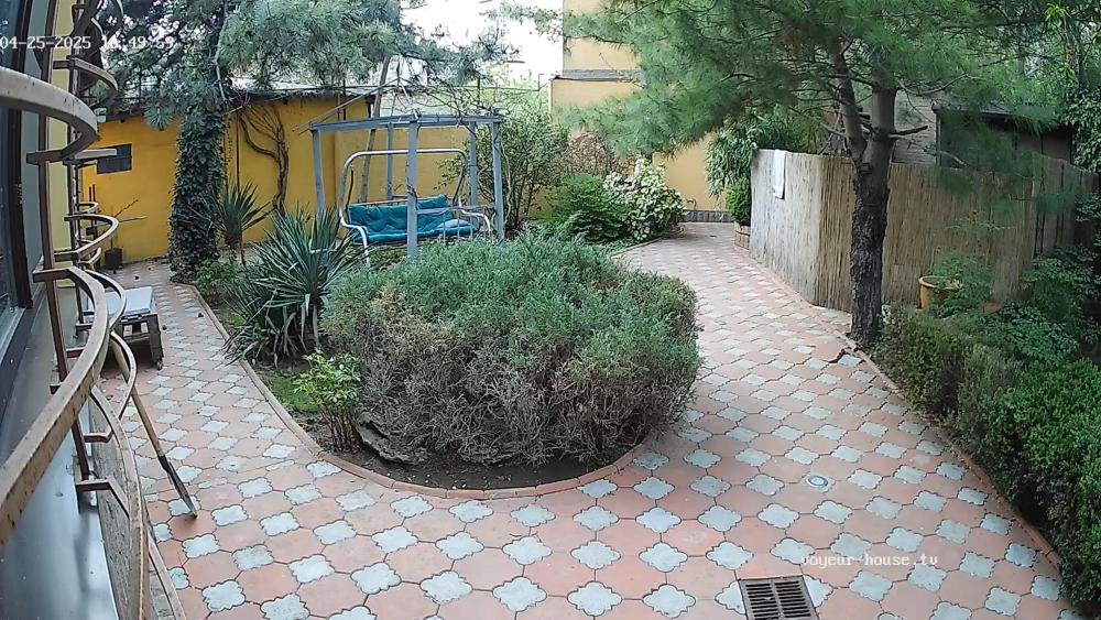 Noldus 2025-04-25 16-50-37-239.jpg