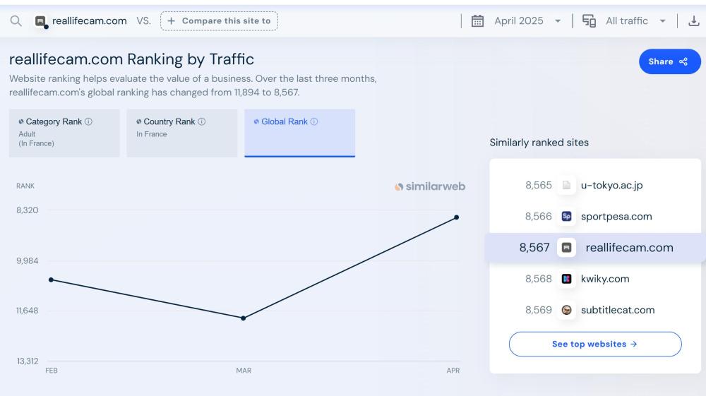 Noldus 2025-05-09 21-57-51-204.jpg