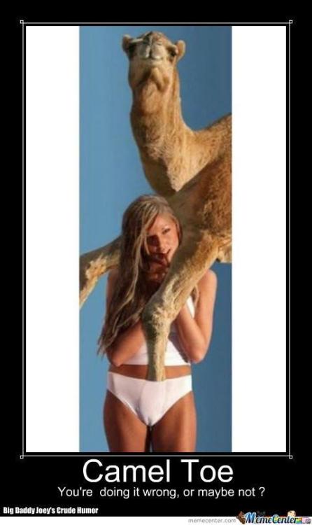 CamelToe.jpg