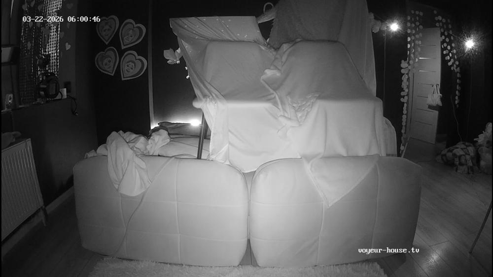 Noldus 2026-03-22 04-01-08-521.jpg