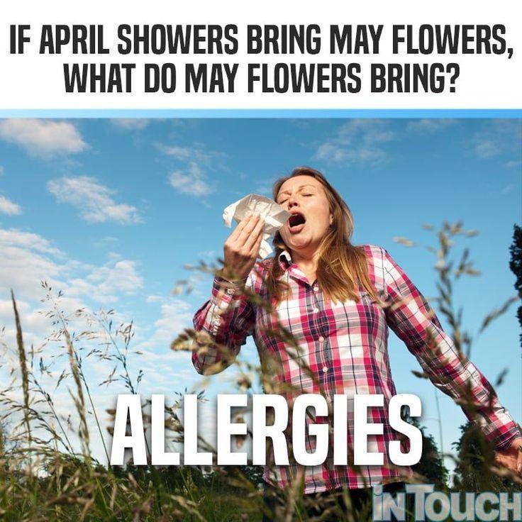 More information about "Mayflower"