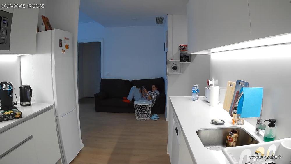 Noldus 2026-06-05 18-24-31-307.jpg