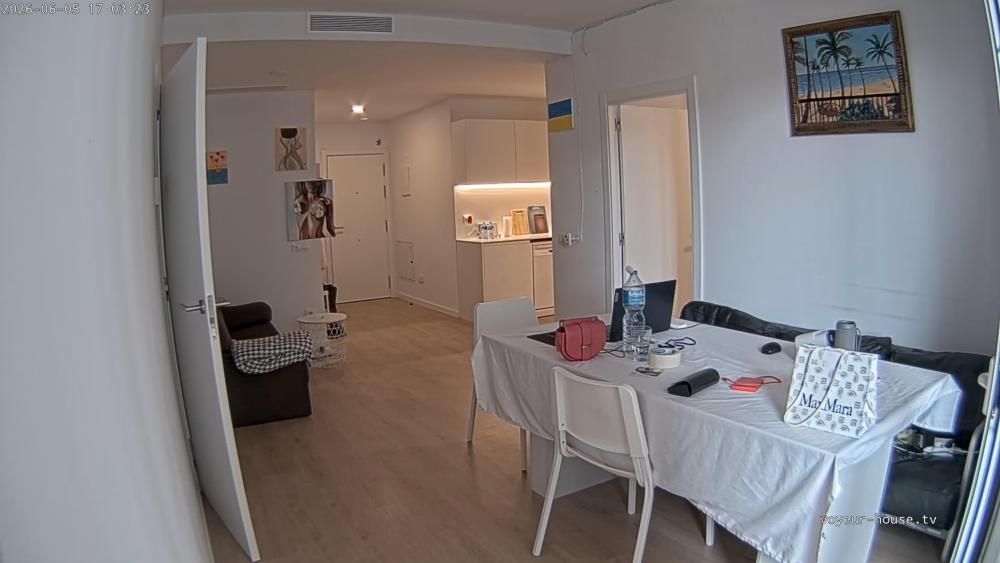 Noldus 2026-06-05 18-28-28-789.jpg