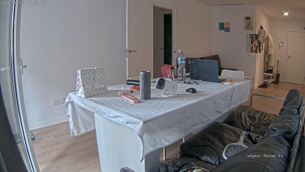 Noldus 2026-06-05 18-28-49-748.jpg